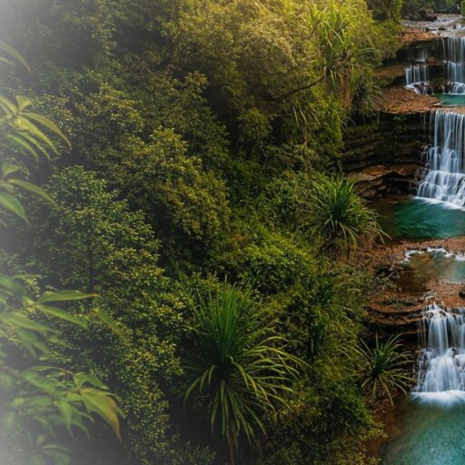 Website Feature Image Size (27)